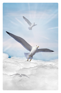 Journey Home Clouds Birds Blue